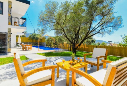 Villa Risus 2